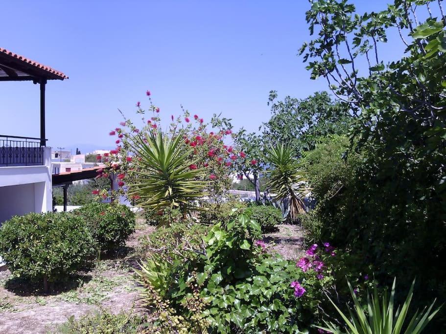 Explore Aegina Island Сувала Экстерьер фото